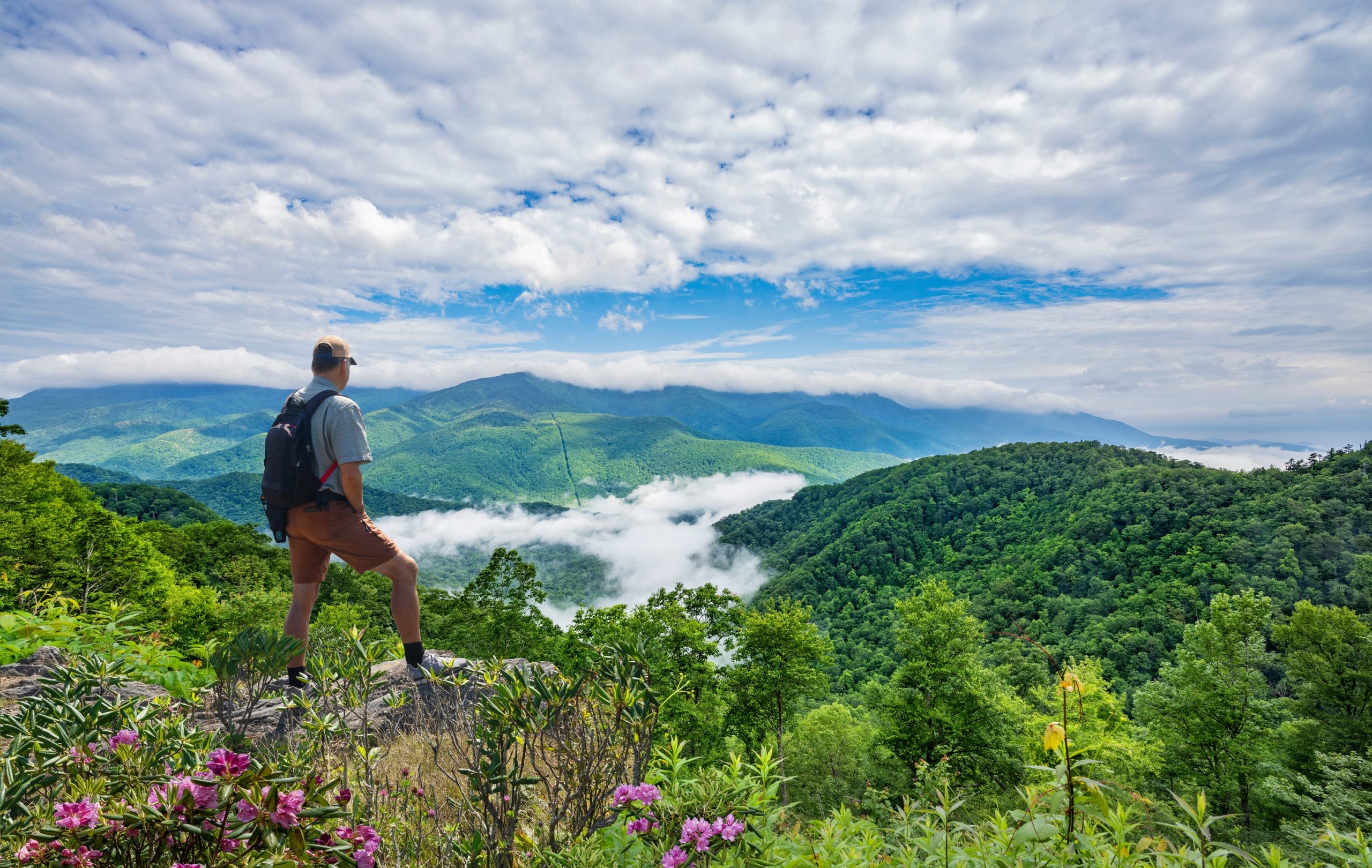 Long Branch Loop #165G Hiking Trail, Blue Ridge, Georgia